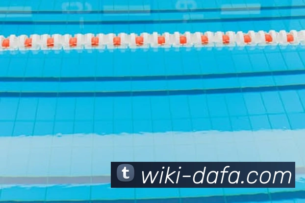 大发彩票APP 封面图